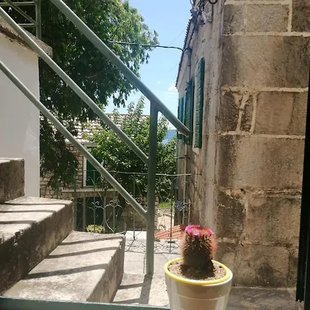 Bekavac Kricak * 布雷拉