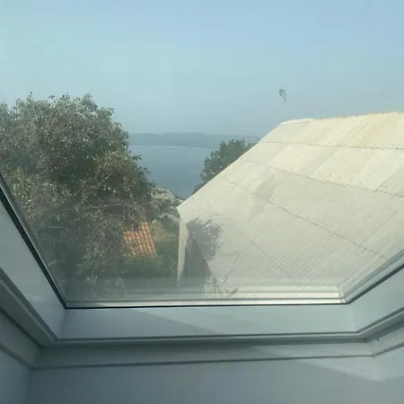 Bekavac Kricak * 布雷拉